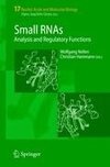 Small RNAs