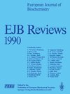 EJB Reviews 1990