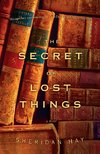 The Secret of Lost Things