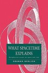 What Spacetime Explains