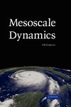 Mesoscale Dynamics