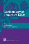 Microbiology of Fermented Foods