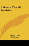 A General View Of Positivism