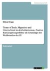 Terms of Trade: Migration und Unterschiede in den Lohnniveaus - Positive Rückkopplungseffekte als Grundlage des Wohlstandes der EU