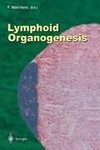 Lymphoid Organogenesis