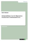 Schulpraktikum 2 an der Allgemeinen Förderschule (Praktikumsbericht)