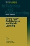 Neuro-Fuzzy Architectures and Hybrid Learning