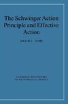 The Schwinger Action Principle and Effective Action