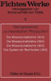 Werke, Bd 10, Nachgelassenes zur theoretischen Philosophie II