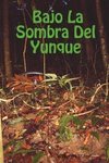 Bajo La Sombra del Yunque