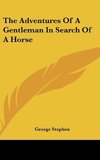 The Adventures Of A Gentleman In Search Of A Horse