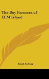 The Boy Farmers of Elm Island