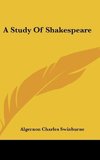 A Study Of Shakespeare