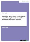 Assessment of nucleotide excision repair protein binding forces by atomic force microscopy and optical trapping