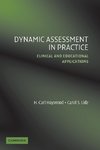 Dynamic Assessment in Practice