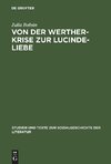 Von der Werther-Krise zur Lucinde-Liebe