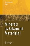 Minerals as Advanced Materials I