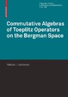 Commutative Algebras of Toeplitz Operators on the Bergman Space