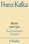 Briefe 4. 1918 - 1920