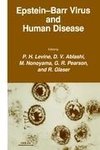 Epstein-Barr Virus and Human Disease