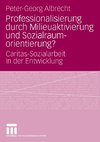 Professionalisierung durch Milieuaktivierung und Sozialraumorientierung?