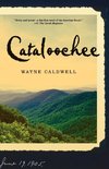 Cataloochee