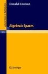 Algebraic Spaces