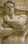 Slave Revolts in Antiquity