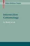 Intersection Cohomology