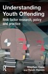 Understanding Youth Offending