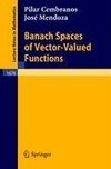 Banach Spaces of Vector-Valued Functions