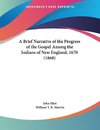 A Brief Narrative of the Progress of the Gospel Among the Indians of New England, 1670 (1868)