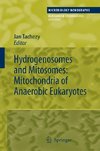 Hydrogenosomes and Mitosomes: Mitochondria of Anaerobic Eukaryotes