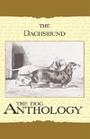 Various: Daschund - A Dog Anthology (A Vintage Dog Books Bre