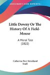 Little Downy Or The History Of A Field-Mouse