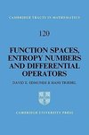 Function Spaces, Entropy Numbers, Differential Operators