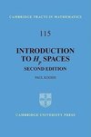 Introduction to HP Spaces