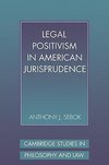 Legal Positivism in American Jurisprudence