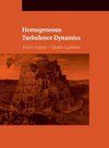 Homogeneous Turbulence Dynamics