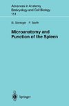 Microanatomy and Function of the Spleen