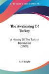 The Awakening Of Turkey