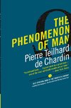 Phenomenon of Man, The