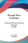 Through Three Campaigns