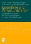 Jugendhilfe und Verwaltungsreform