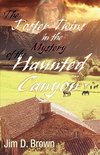 The Foster Twins in the Mystery of the Haunted Canyon