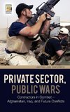 Private Sector, Public Wars