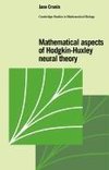 Mathematical Aspects of Hodgkin-Huxley Neural Theory