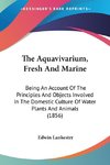 The Aquavivarium, Fresh And Marine