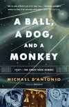 A Ball, a Dog, and a Monkey