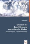 Grenzen der Quantifizierung operationeller Risiken